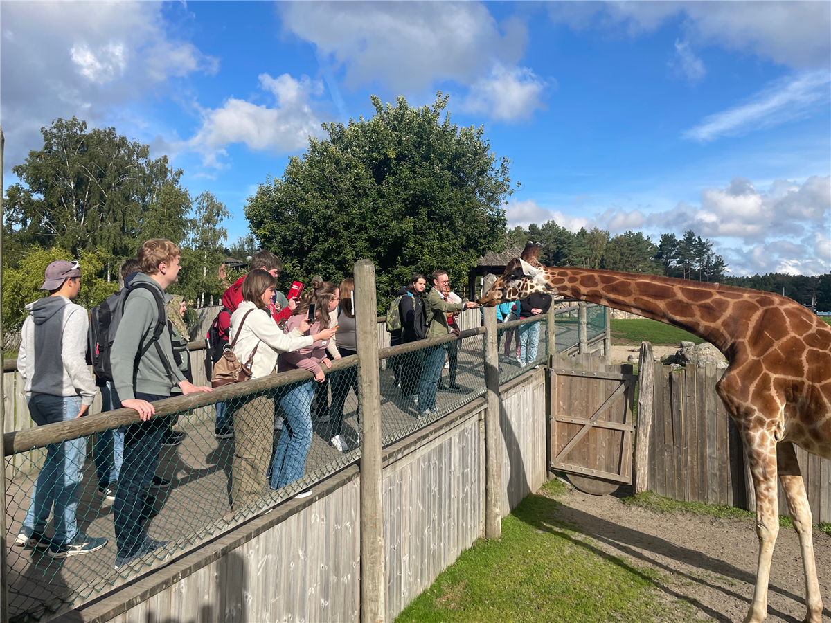 Elevar og lærar i dyreparken - Klikk for stort bilde